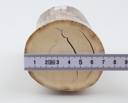Round mammoth ivory piece