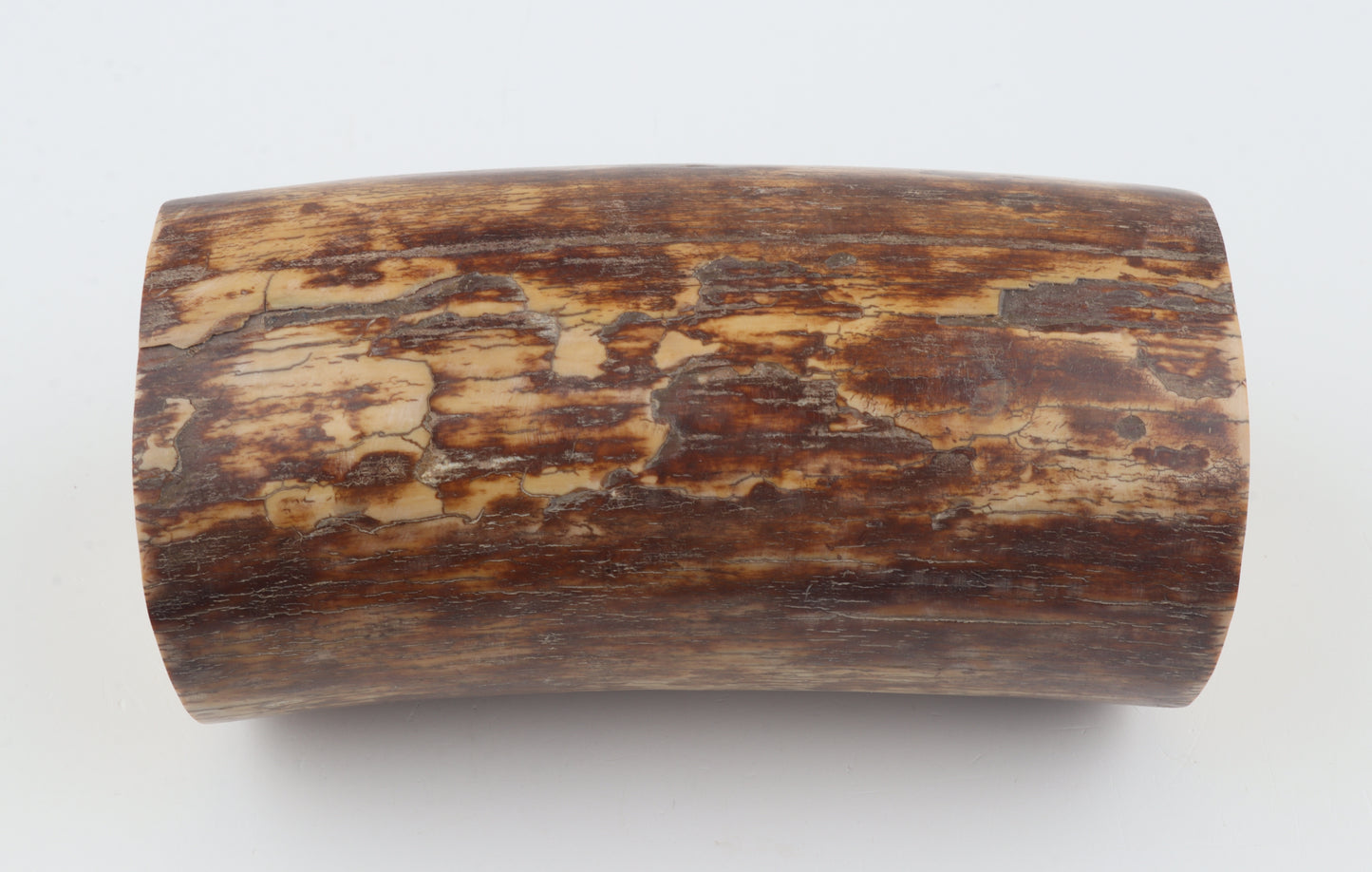 Round mammoth ivory piece