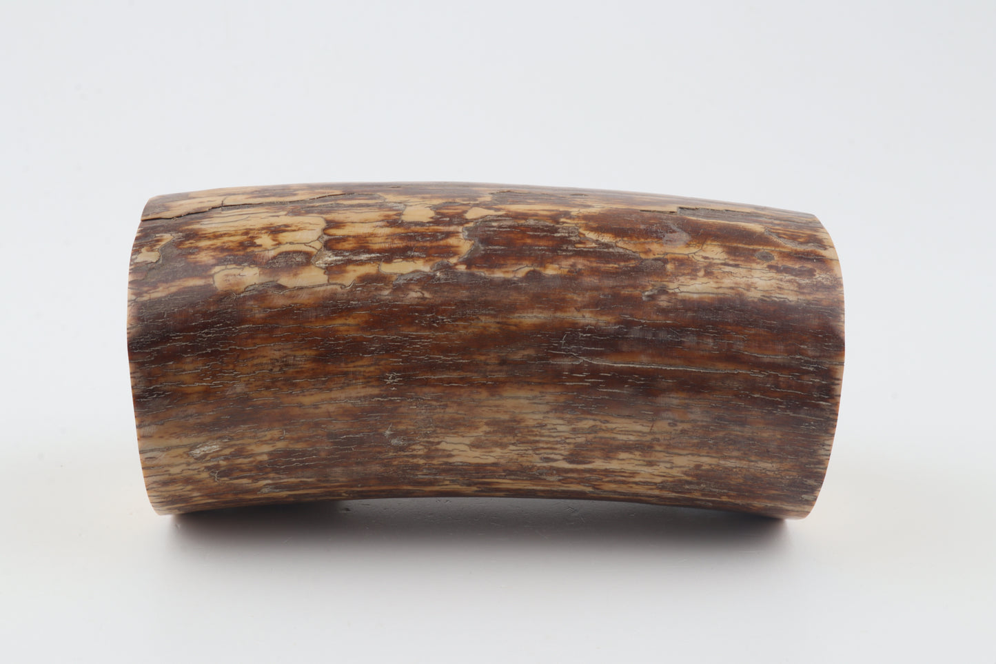 Round mammoth ivory piece