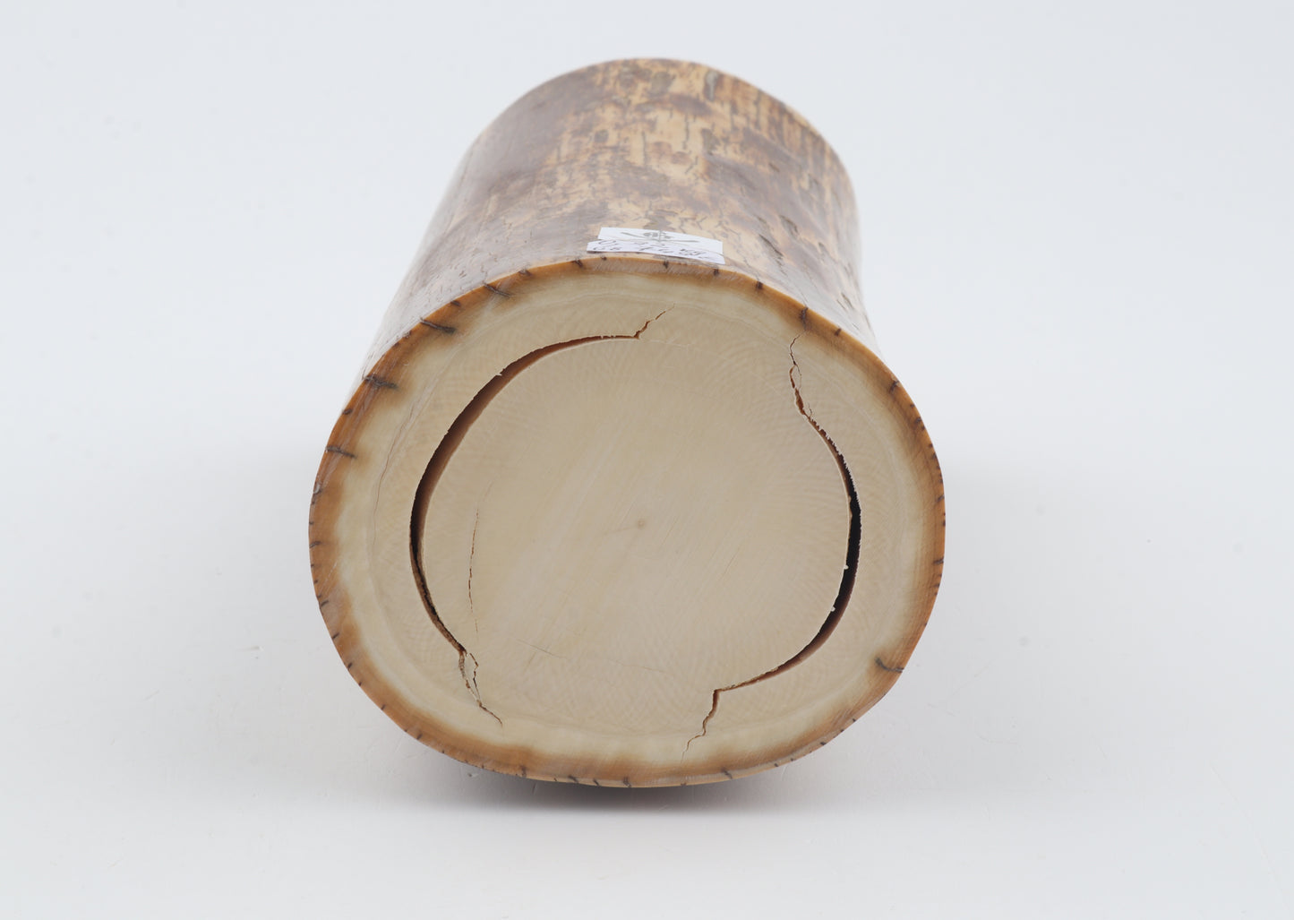 Round mammoth ivory piece