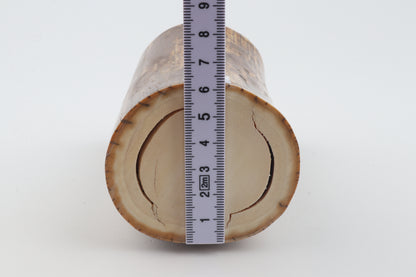 Round mammoth ivory piece