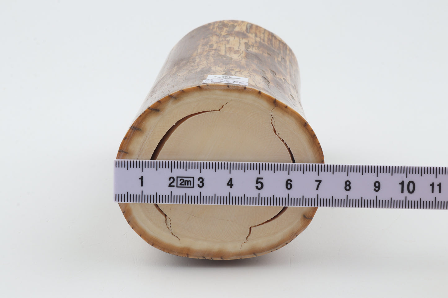 Round mammoth ivory piece