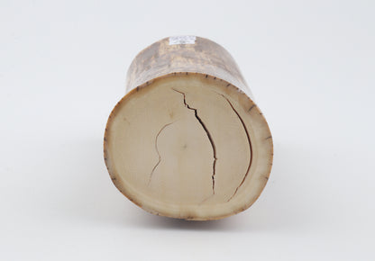 Round mammoth ivory piece