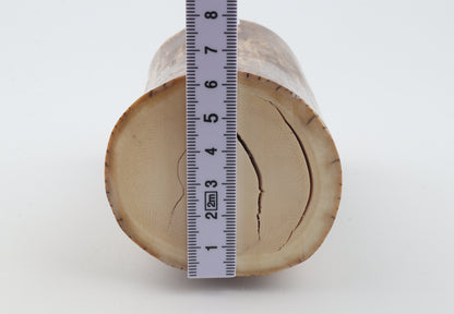 Round mammoth ivory piece