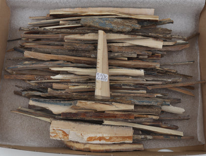 Raw mammoth ivory offcuts