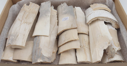 Untreated mammoth ivory offcuts