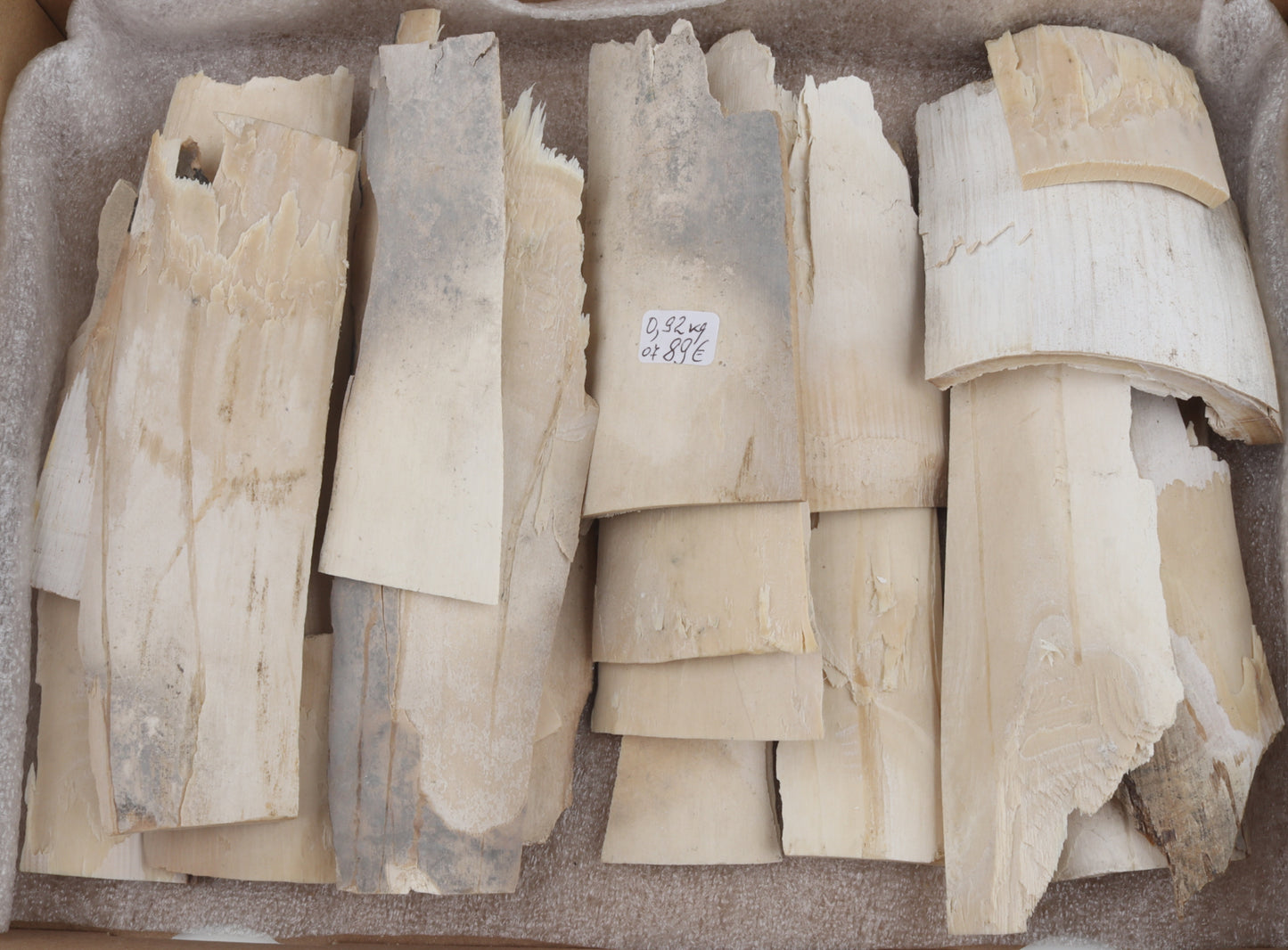 Untreated mammoth ivory offcuts