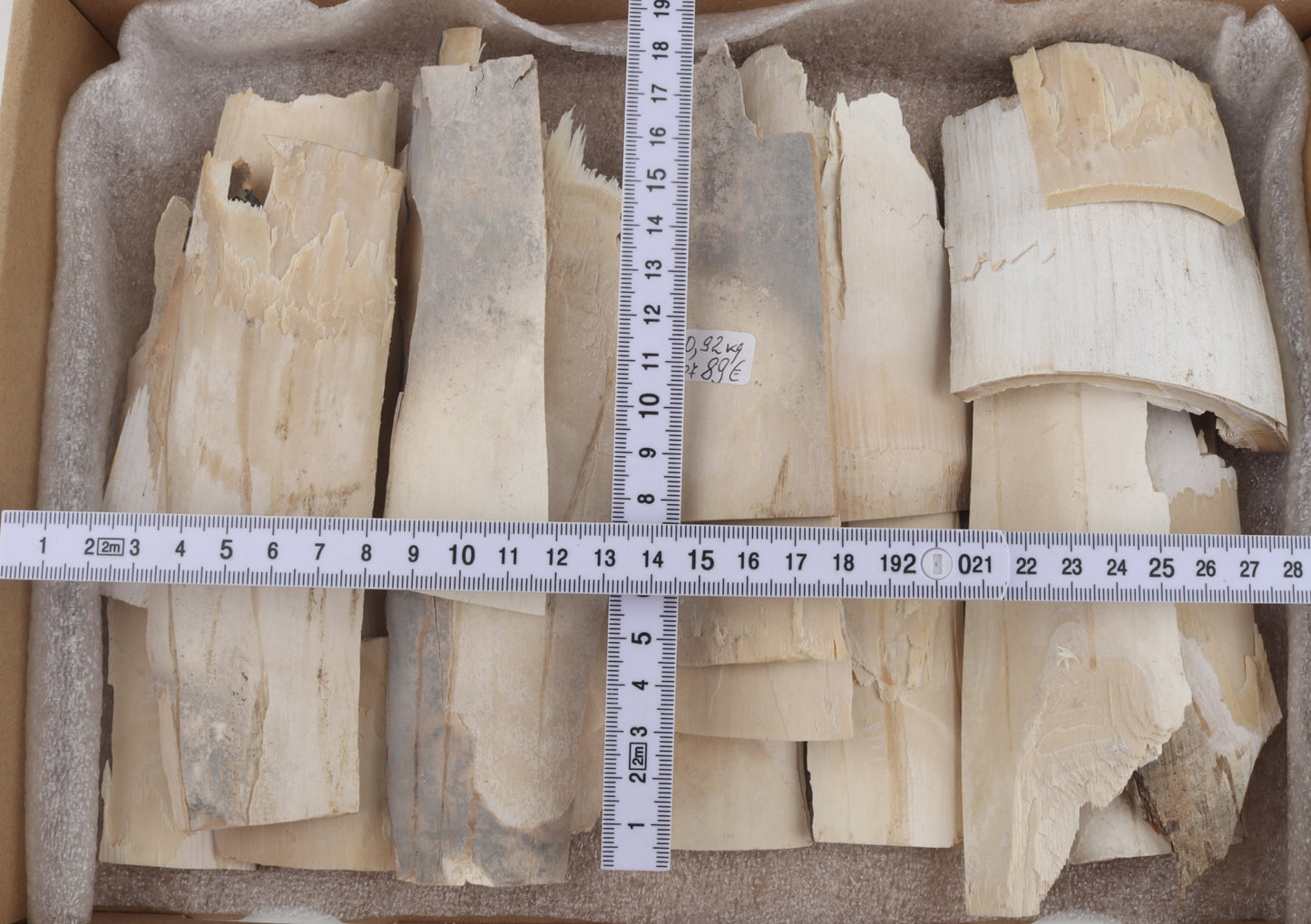 Untreated mammoth ivory offcuts