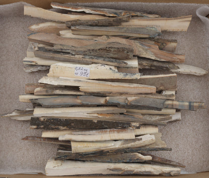 Raw mammoth ivory offcuts