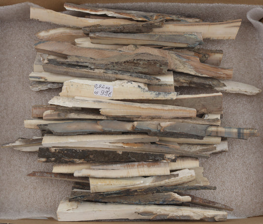 Raw mammoth ivory offcuts