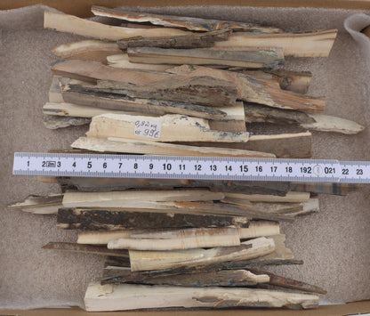 Raw mammoth ivory offcuts