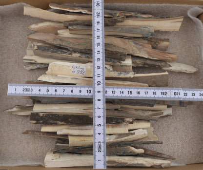Raw mammoth ivory offcuts