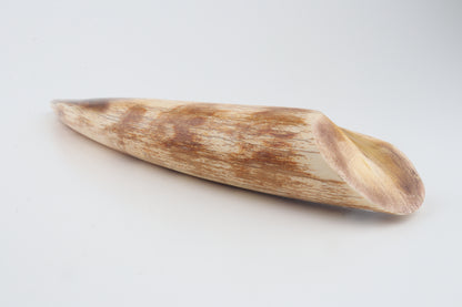 Restored woolly mammoth tusk tip