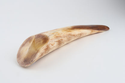 Restored woolly mammoth tusk tip