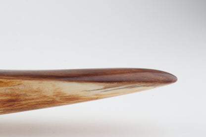 Restored woolly mammoth tusk tip