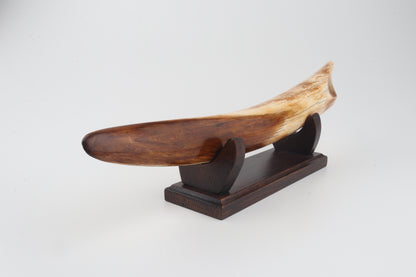 Restored woolly mammoth tusk tip