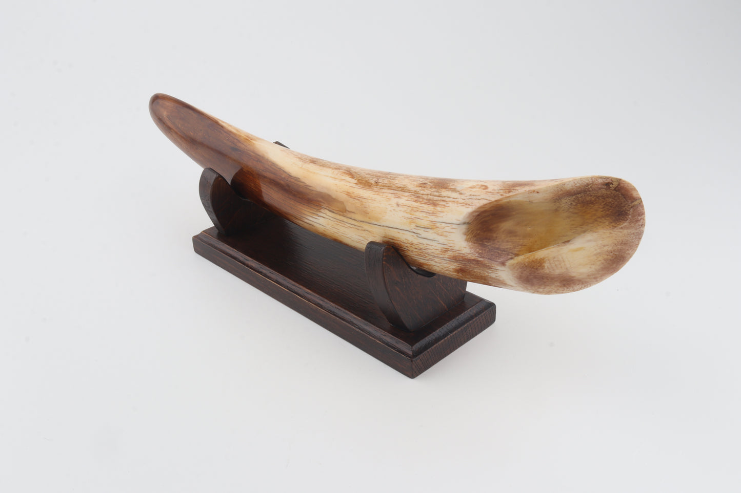 Restored woolly mammoth tusk tip