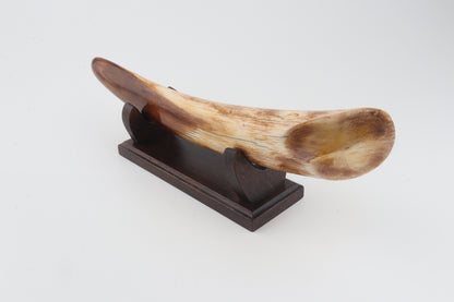 Restored woolly mammoth tusk tip