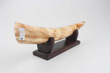 Restored woolly mammoth tusk tip