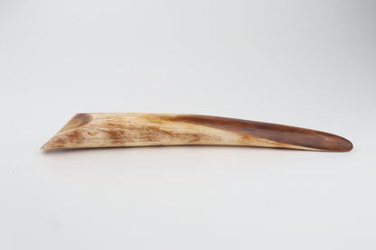 Restored woolly mammoth tusk tip