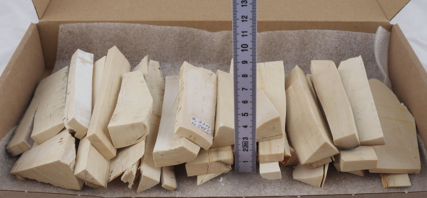 White mammoth ivory offcuts