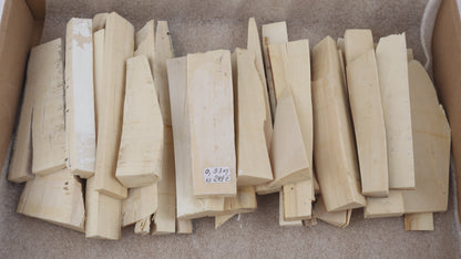 White mammoth ivory offcuts