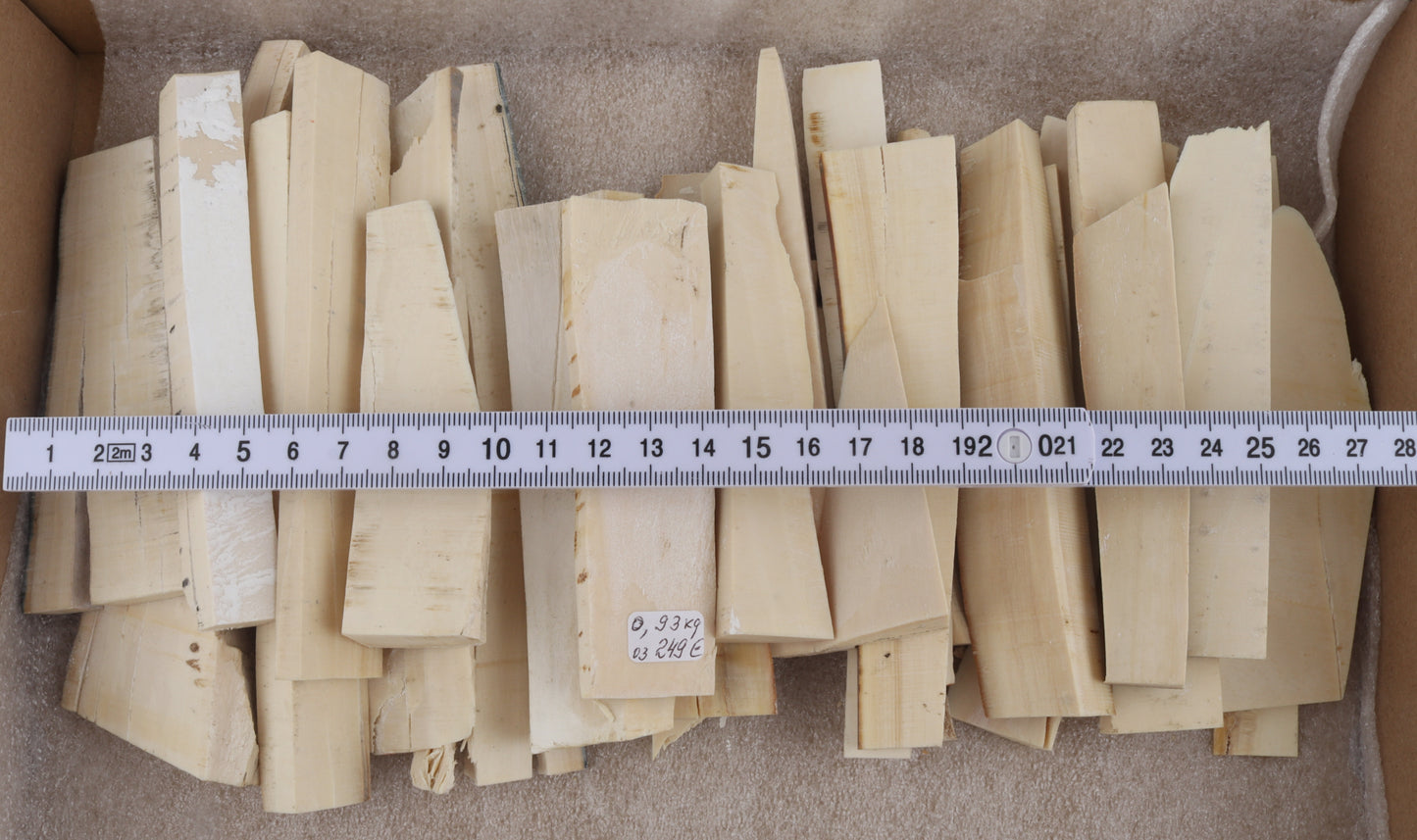White mammoth ivory offcuts