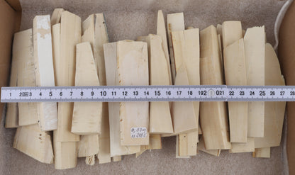 White mammoth ivory offcuts
