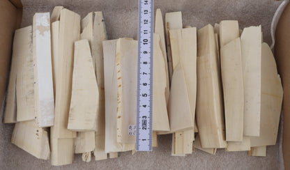 White mammoth ivory offcuts
