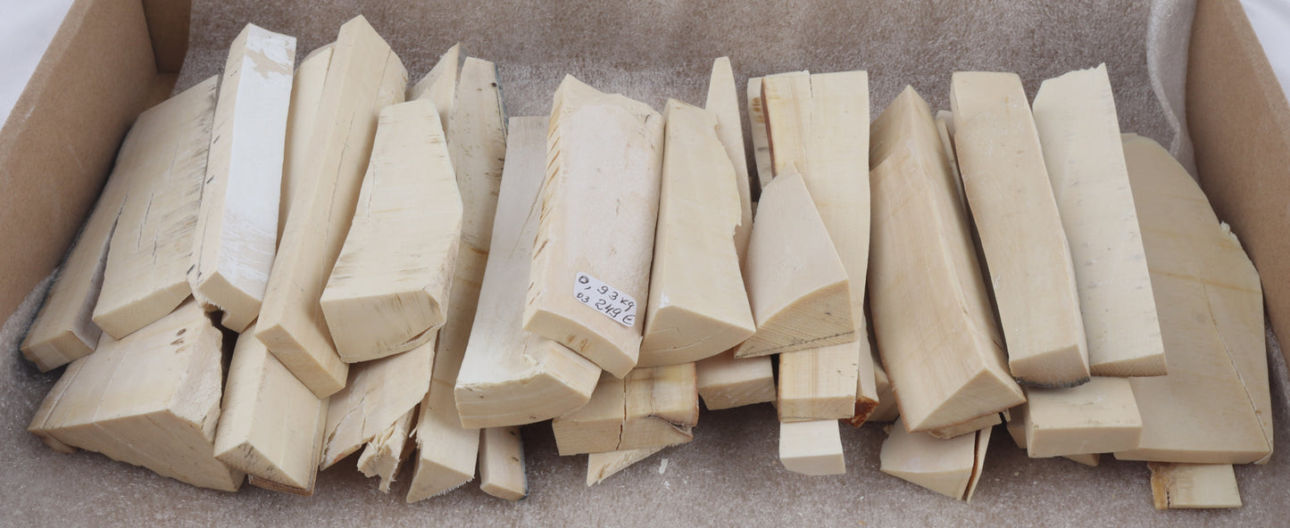 White mammoth ivory offcuts