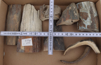 Untreated mammoth ivory pieces