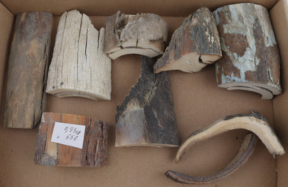 Untreated mammoth ivory pieces