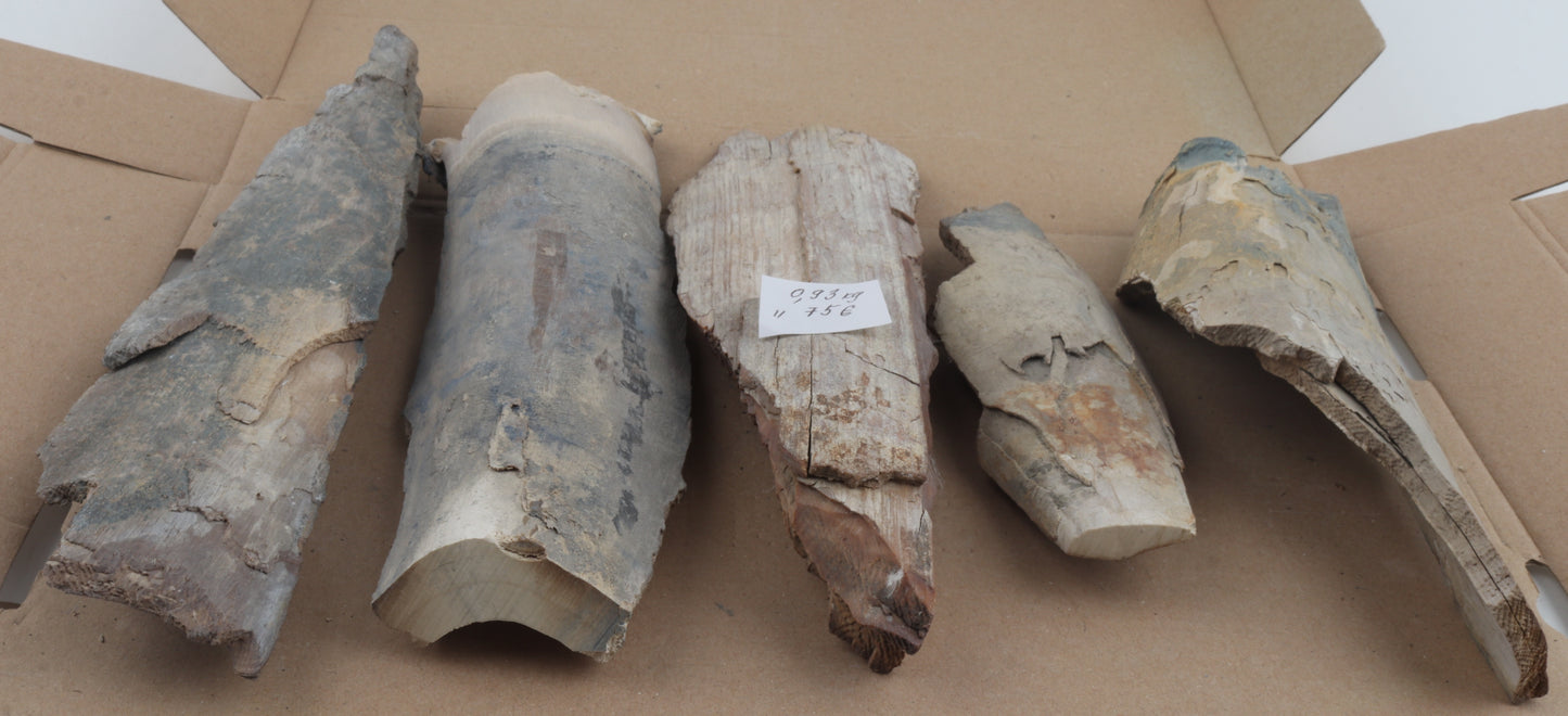 Untreated mammoth ivory pieces