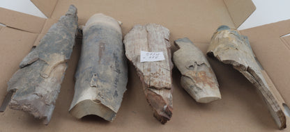 Untreated mammoth ivory pieces