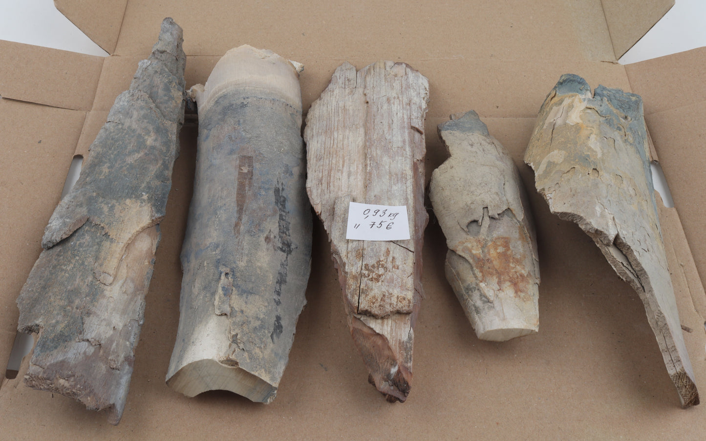Untreated mammoth ivory pieces