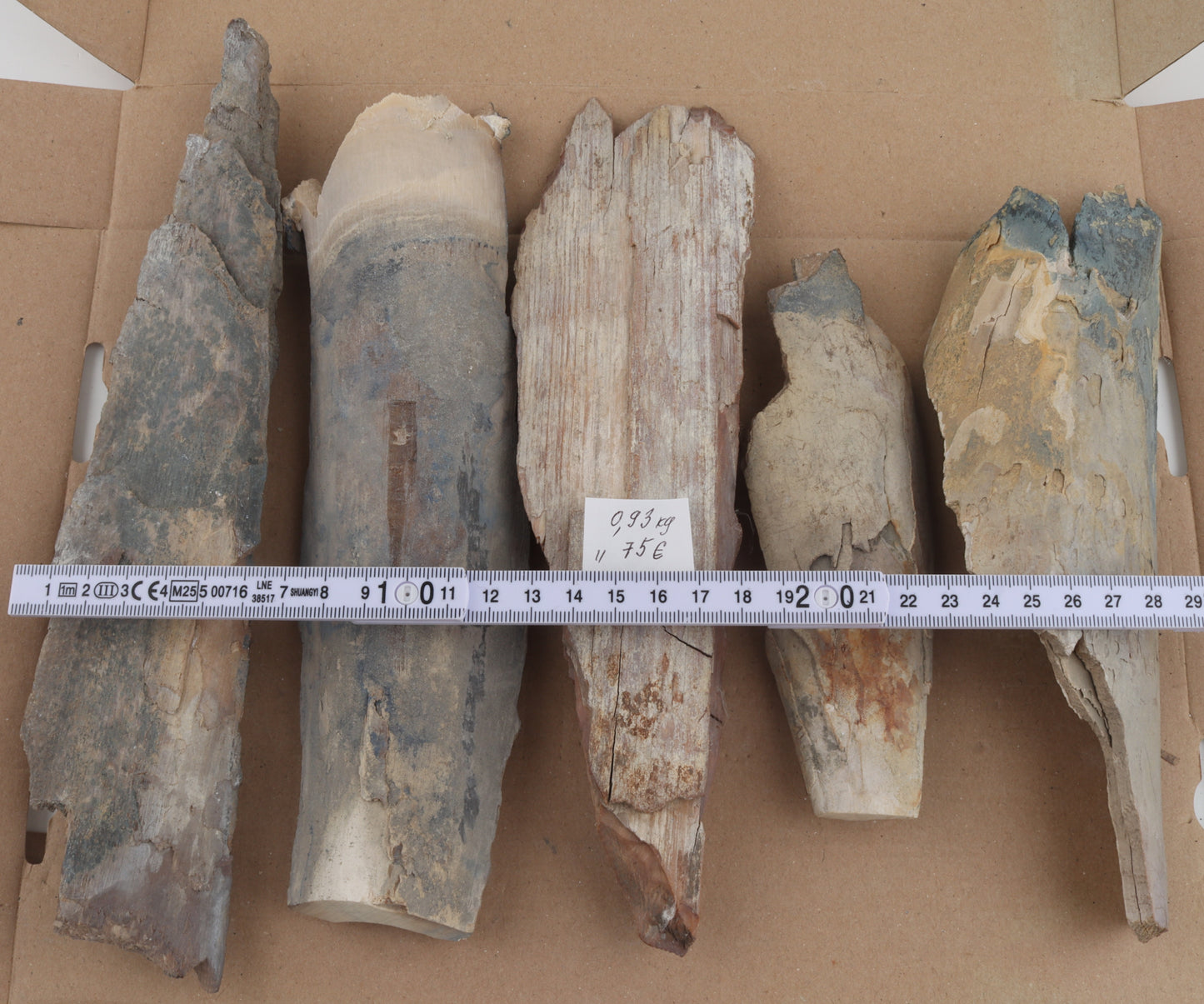 Untreated mammoth ivory pieces