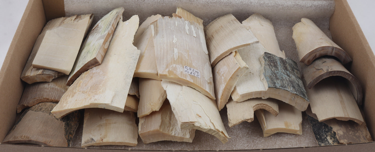 Untreated mammoth ivory offcuts