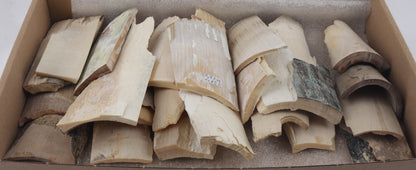 Untreated mammoth ivory offcuts