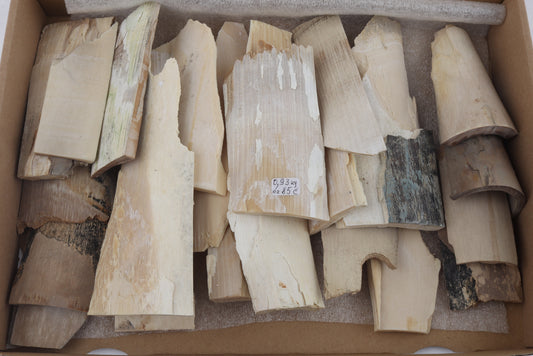 Untreated mammoth ivory offcuts