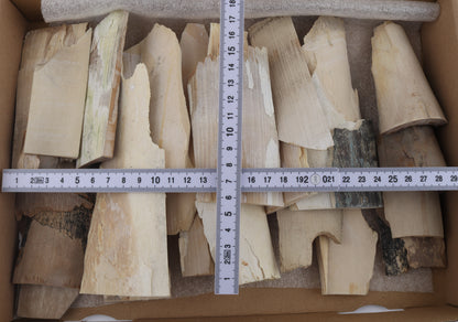 Untreated mammoth ivory offcuts