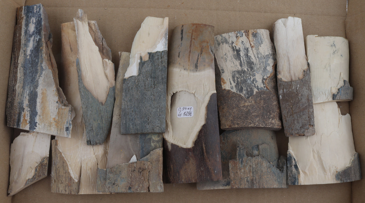 Raw mammoth ivory offcuts