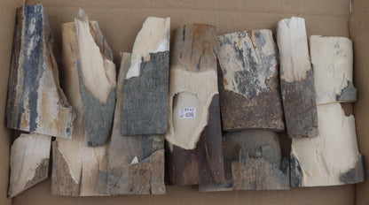 Raw mammoth ivory offcuts