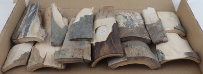 Raw mammoth ivory offcuts