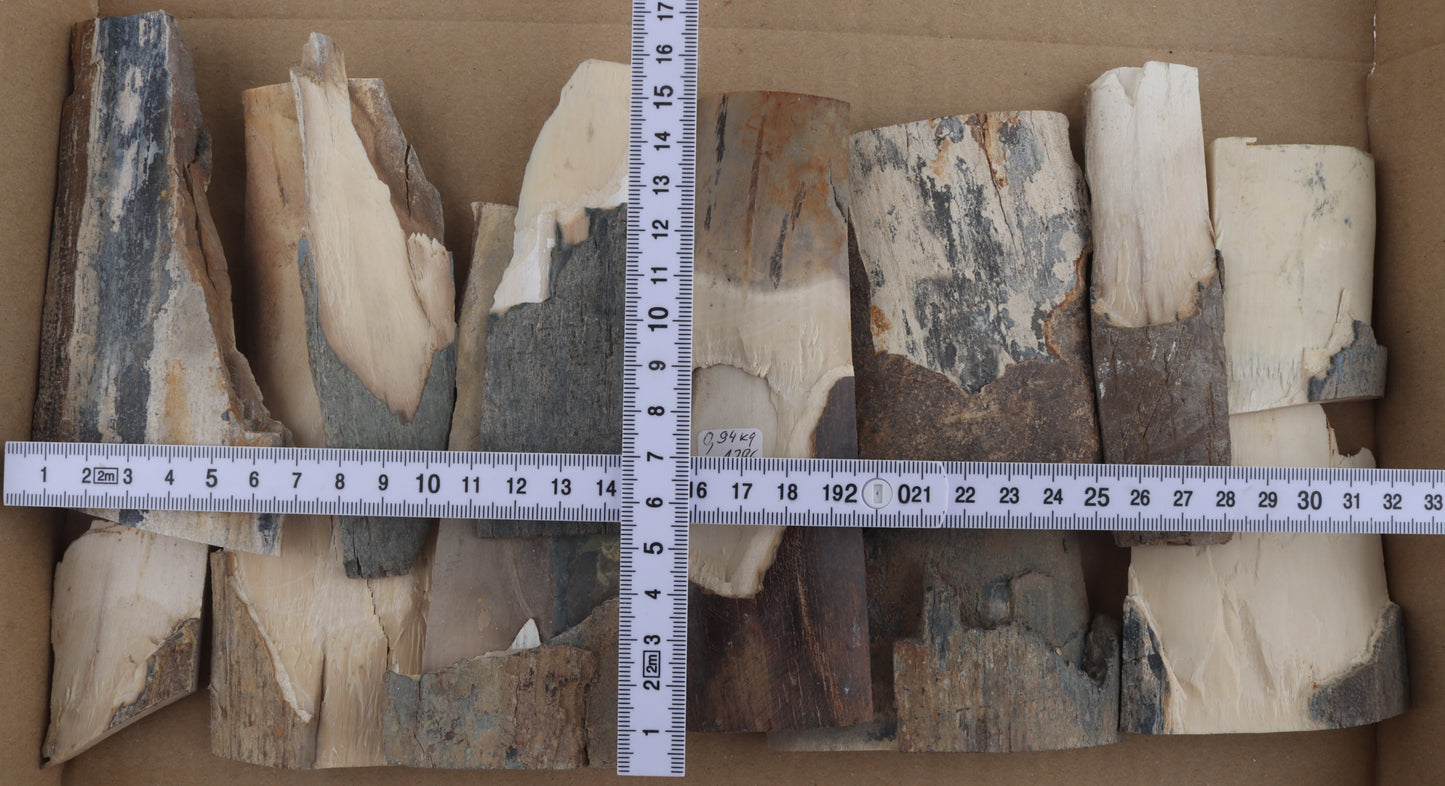 Raw mammoth ivory offcuts