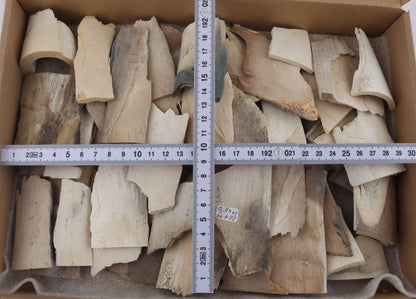 Raw mammoth ivory offcuts