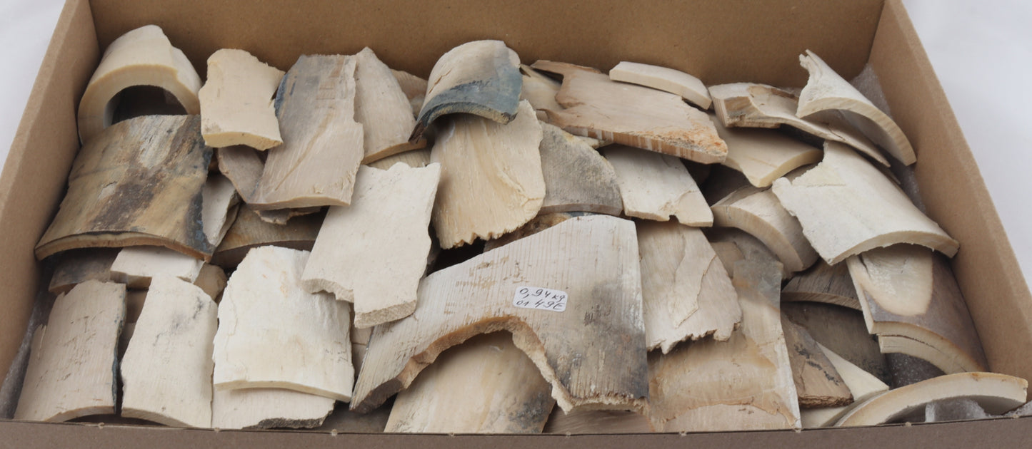 Raw mammoth ivory offcuts