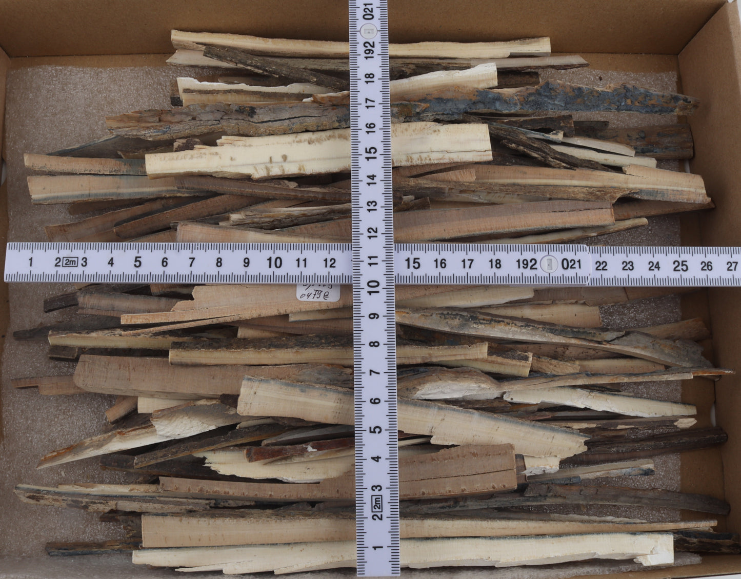 Raw mammoth ivory offcuts