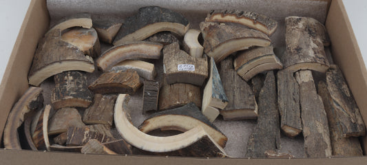 Untreated mammoth bark pieces