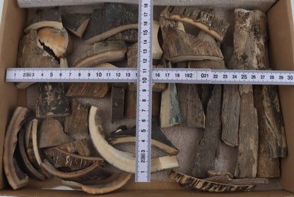 Untreated mammoth bark pieces