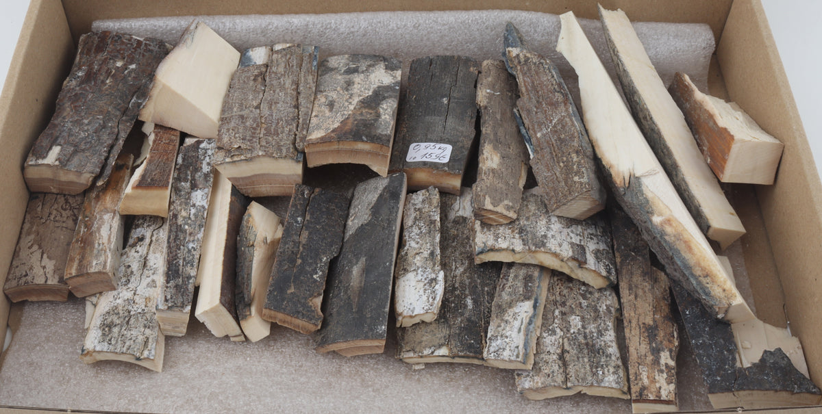 Untreated mammoth bark pieces